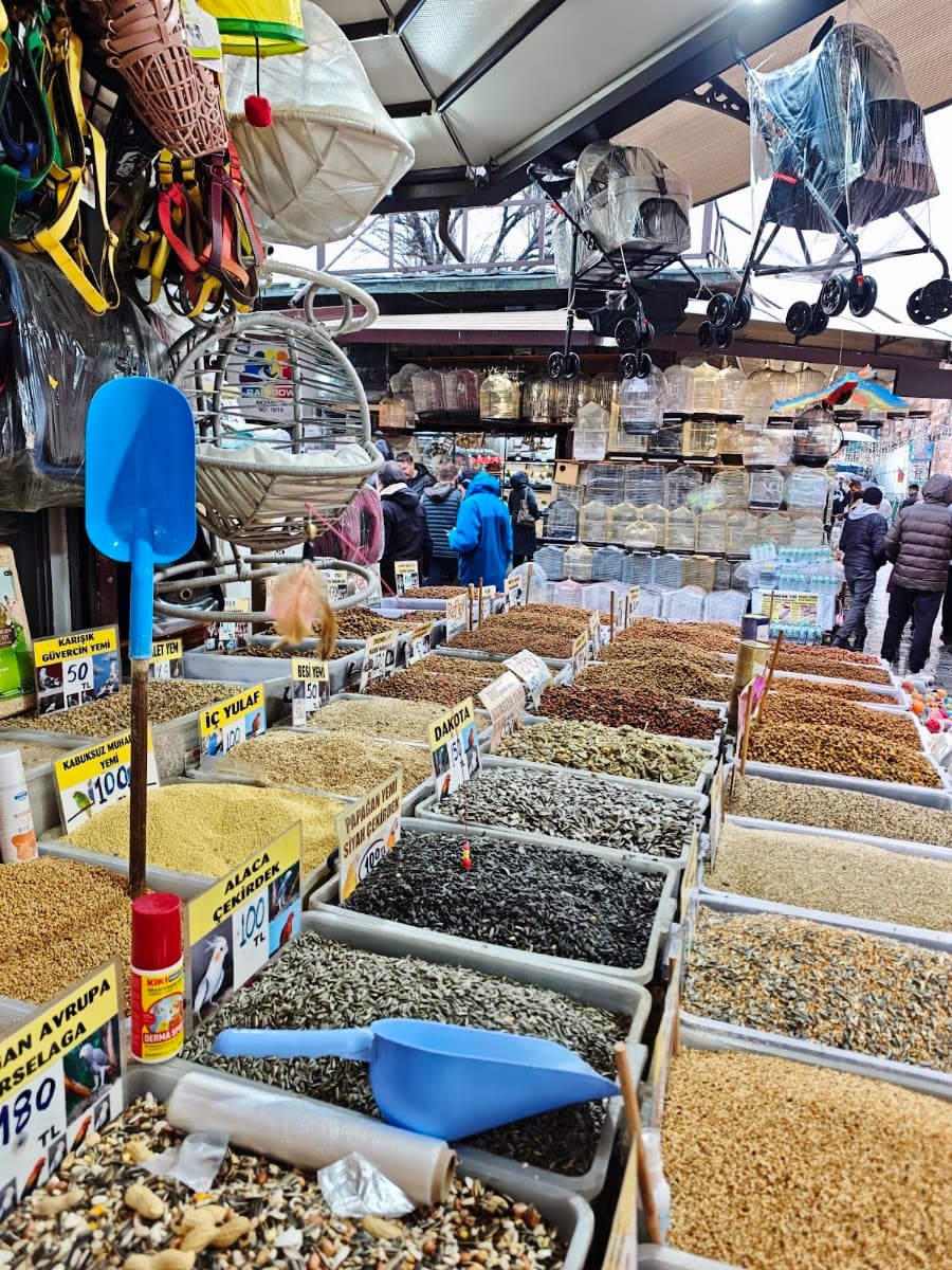 Gri Akvaryum mağaza - yol tarifi için tıklayın